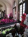 2014-03-01,_Palais (6)